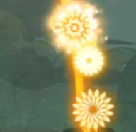 菊
