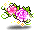 ロマンローズ